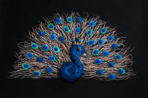 Pete the Peacock | Prints
